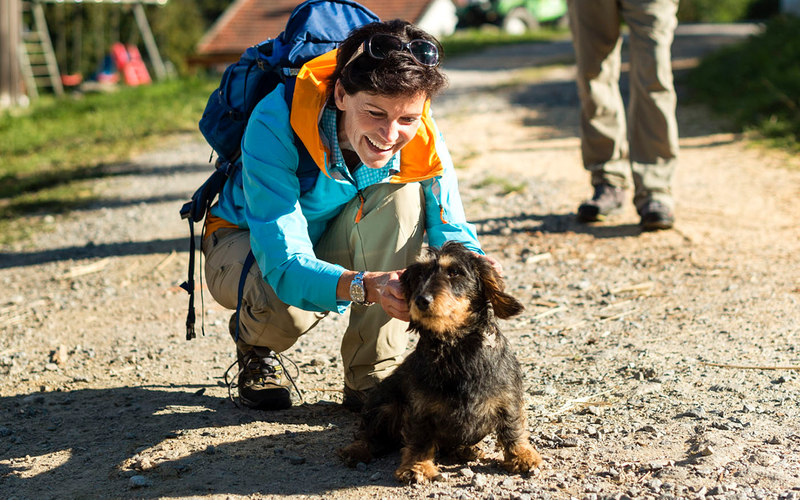 Wandern mit Hund: Am Goldsteig können Sie mit Ihrem vierbeinigem Liebling gemeinsam wandern